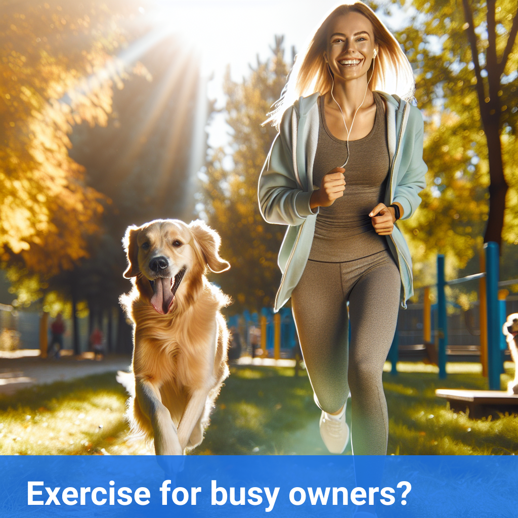 Dog Exercise Routine For Busy Owners